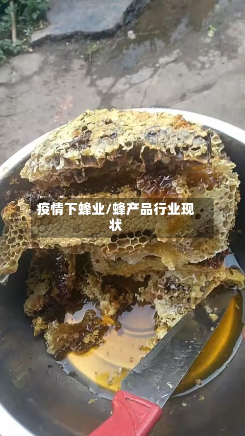 疫情下蜂业/蜂产品行业现状-第2张图片