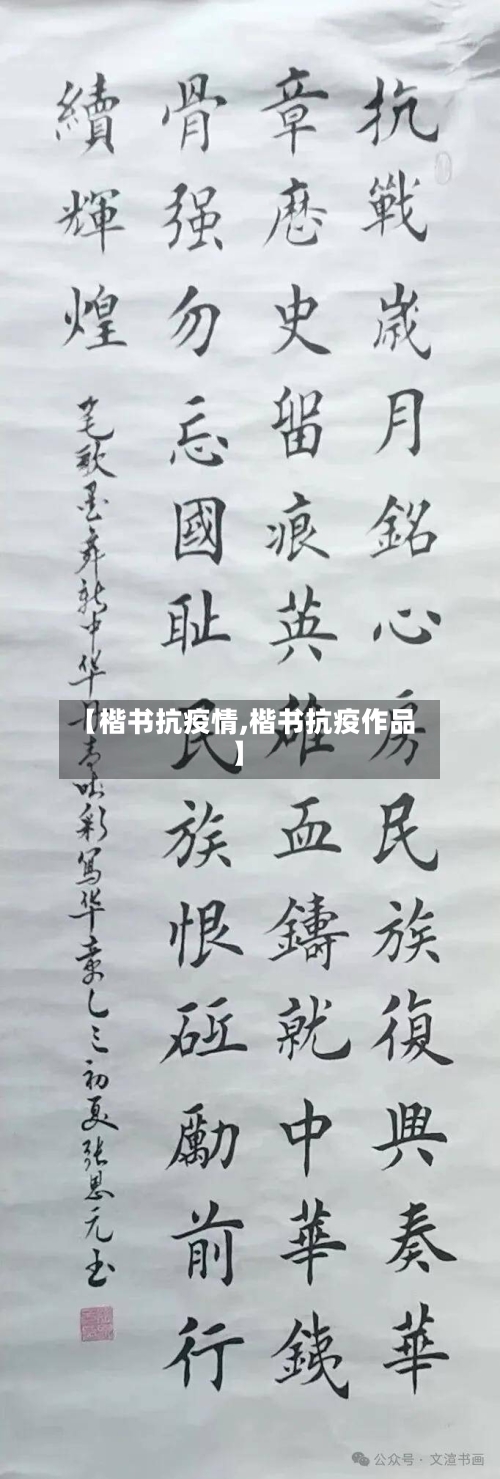 【楷书抗疫情,楷书抗疫作品】-第3张图片