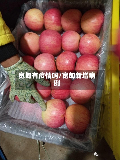 宽甸有疫情吗/宽甸新增病例