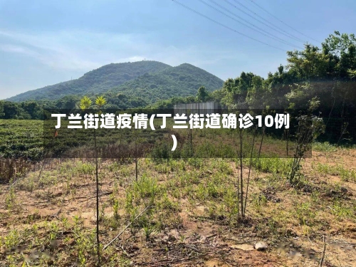 丁兰街道疫情(丁兰街道确诊10例)-第3张图片