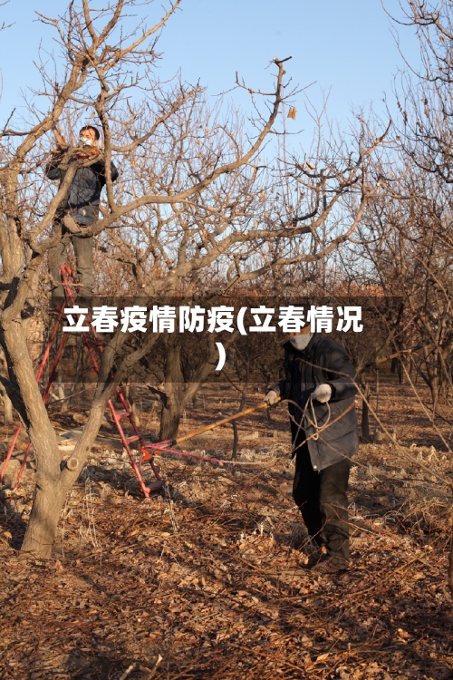 立春疫情防疫(立春情况)-第2张图片