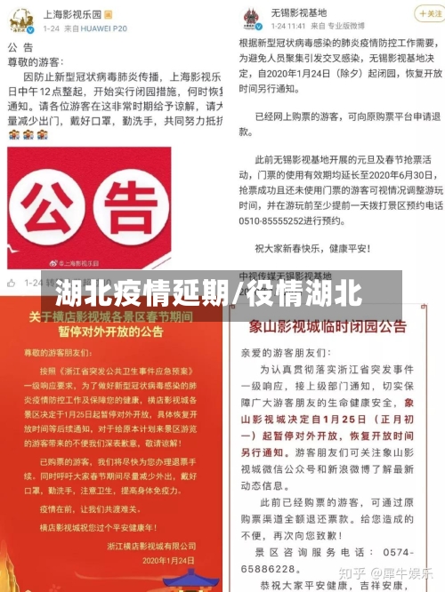 湖北疫情延期/役情湖北-第2张图片