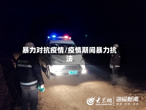 暴力对抗疫情/疫情期间暴力抗法