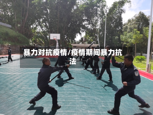 暴力对抗疫情/疫情期间暴力抗法-第2张图片