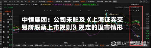 中恒集团：公司未触及《上海证券交易所股票上市规则》规定的退市情形-第2张图片