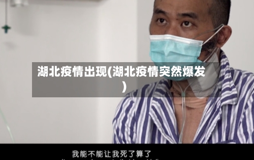 湖北疫情出现(湖北疫情突然爆发)