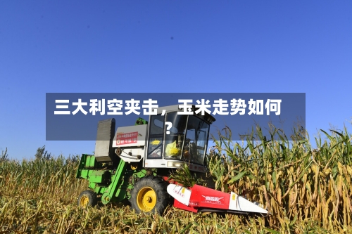 三大利空夹击	，玉米走势如何？-第3张图片