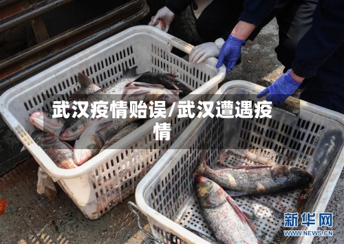 武汉疫情贻误/武汉遭遇疫情-第2张图片