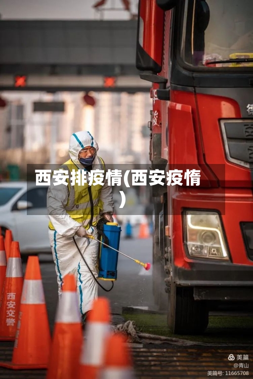 西安排疫情(西安疫惰)-第2张图片