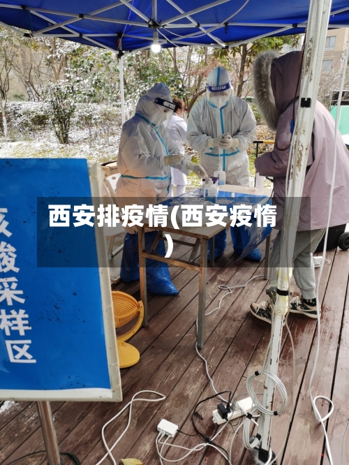 西安排疫情(西安疫惰)-第3张图片