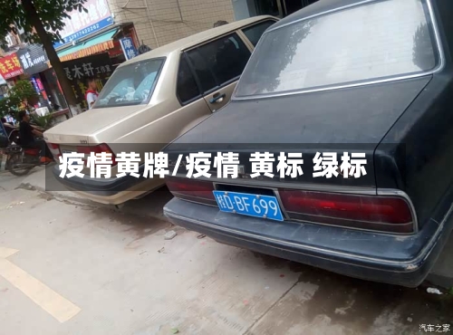 疫情黄牌/疫情 黄标 绿标-第2张图片
