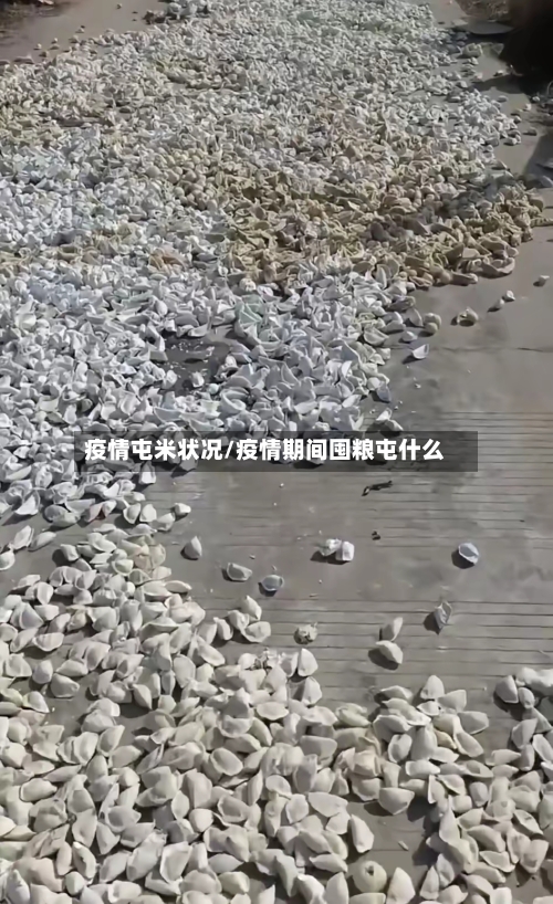 疫情屯米状况/疫情期间囤粮屯什么-第2张图片