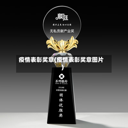 疫情表彰奖章(疫情表彰奖章图片)