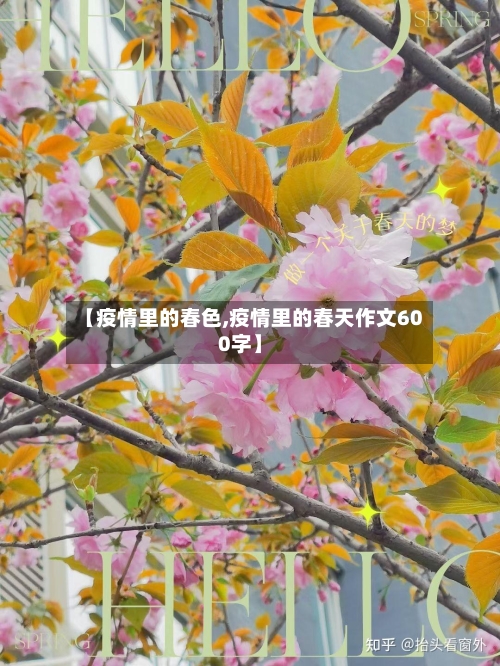 【疫情里的春色,疫情里的春天作文600字】-第2张图片