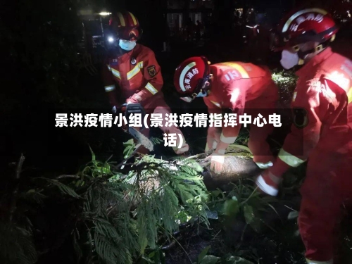 景洪疫情小组(景洪疫情指挥中心电话)