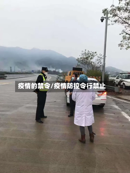 疫情的禁令/疫情防控令行禁止