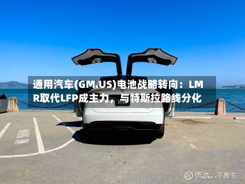 通用汽车(GM.US)电池战略转向：LMR取代LFP成主力，与特斯拉路线分化-第3张图片