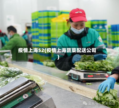 疫情上海52(疫情上海蔬菜配送公司)-第3张图片