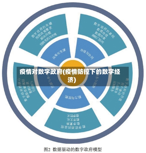 疫情对数字政府(疫情防控下的数字经济)