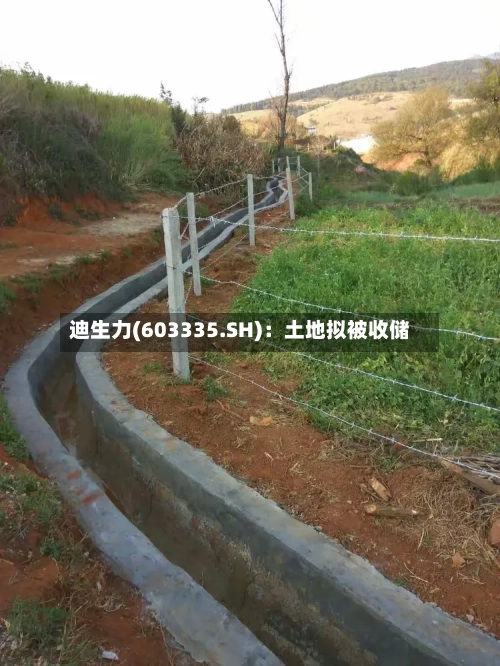迪生力(603335.SH)：土地拟被收储