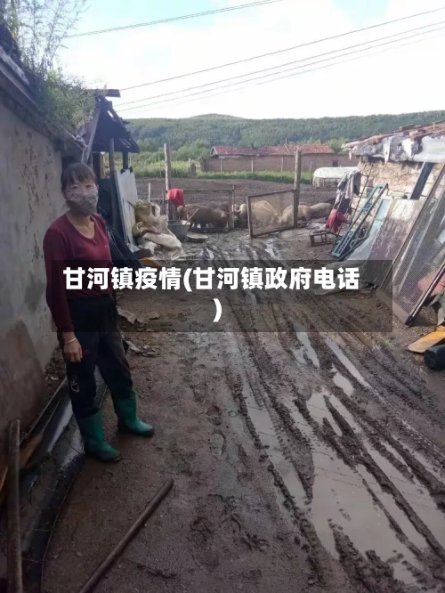 甘河镇疫情(甘河镇政府电话)-第3张图片