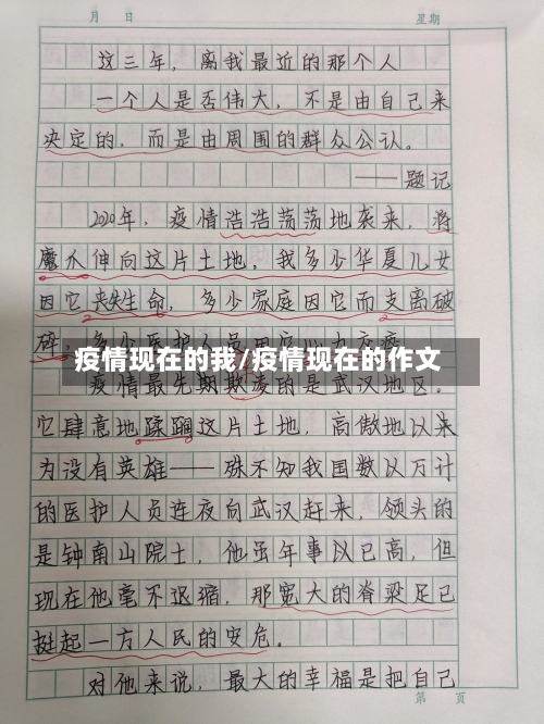 疫情现在的我/疫情现在的作文