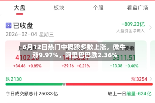 6月12日热门中概股多数上涨，微牛涨9.97%，阿里巴巴跌2.36%-第2张图片