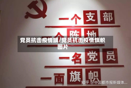 党员抗击疫情旗/党员抗击疫情旗帜图片