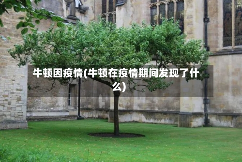 牛顿因疫情(牛顿在疫情期间发现了什么)-第2张图片