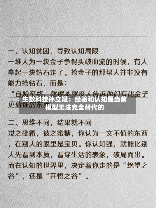 生数科技孙立斌：经验和认知是当前模型无法完全替代的