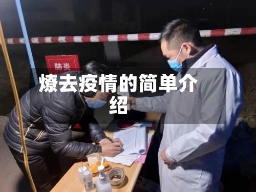 燎去疫情的简单介绍-第3张图片
