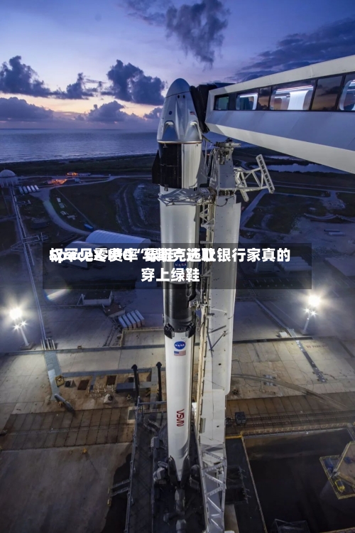 SpaceX IPO“绿鞋”选取权罕见零费率 马斯克还让银行家真的穿上绿鞋-第2张图片