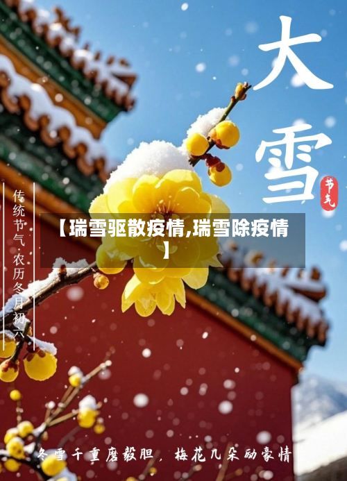 【瑞雪驱散疫情,瑞雪除疫情】-第2张图片