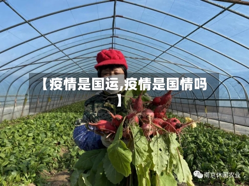 【疫情是国运,疫情是国情吗】