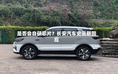 是否会自研芯片？长安汽车史云朋回应