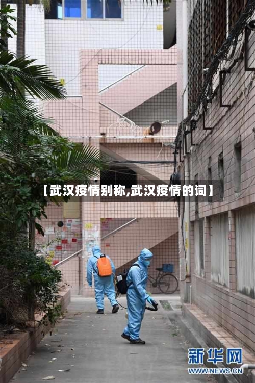 【武汉疫情别称,武汉疫情的词】-第2张图片