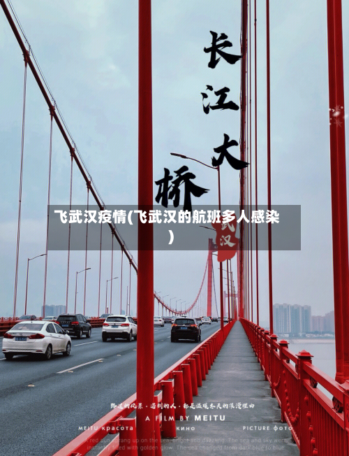 飞武汉疫情(飞武汉的航班多人感染)-第2张图片