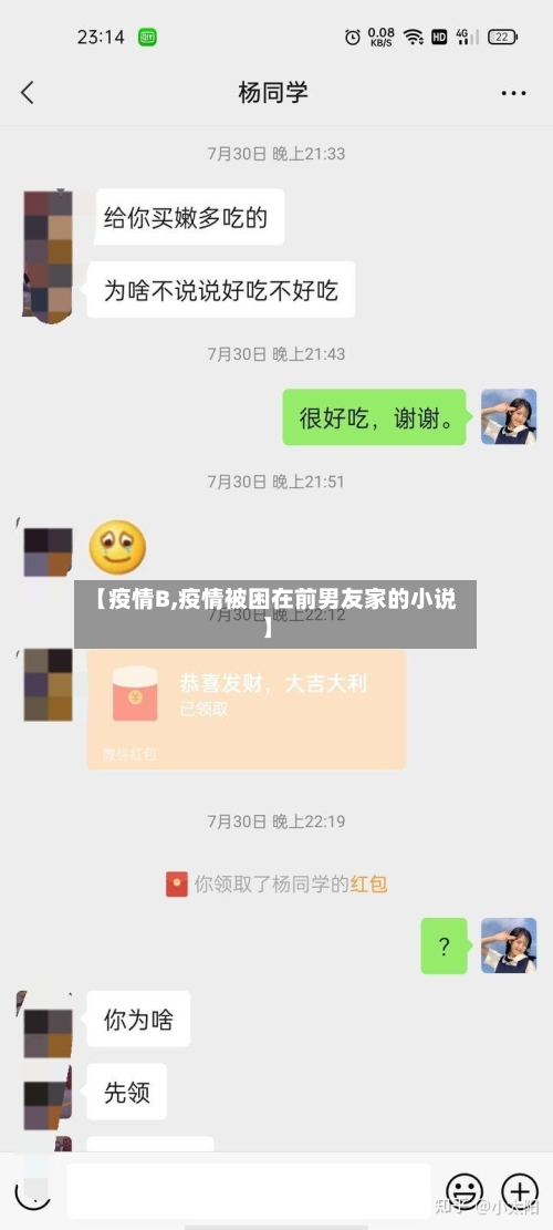 【疫情B,疫情被困在前男友家的小说】