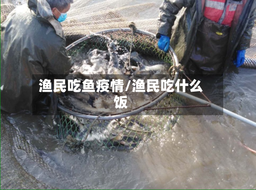 渔民吃鱼疫情/渔民吃什么饭