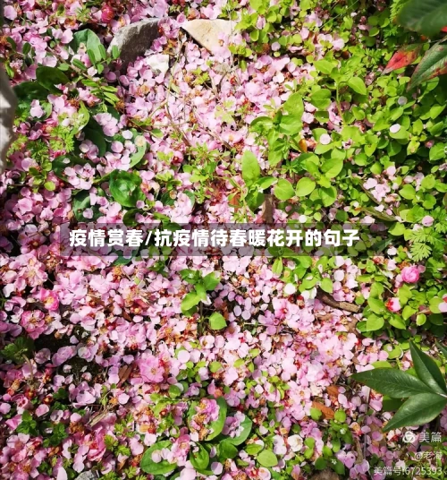 疫情赏春/抗疫情待春暖花开的句子
