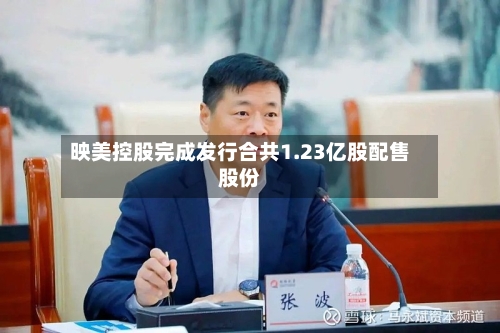 映美控股完成发行合共1.23亿股配售股份-第2张图片