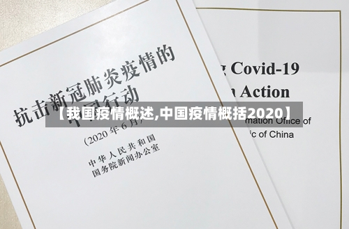 【我国疫情概述,中国疫情概括2020】