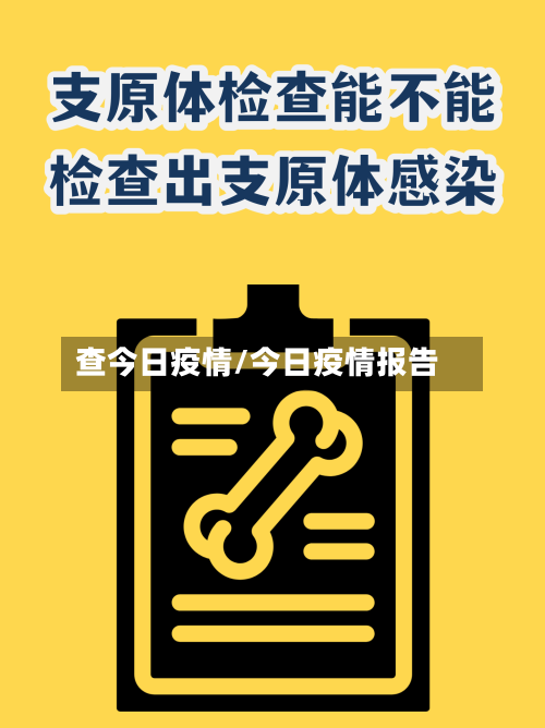 查今日疫情/今日疫情报告
