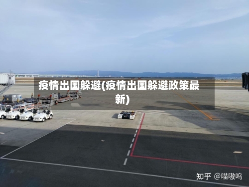 疫情出国躲避(疫情出国躲避政策最新)