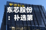 东芯股份：补选第三届董事会非独立董事候选人-第2张图片