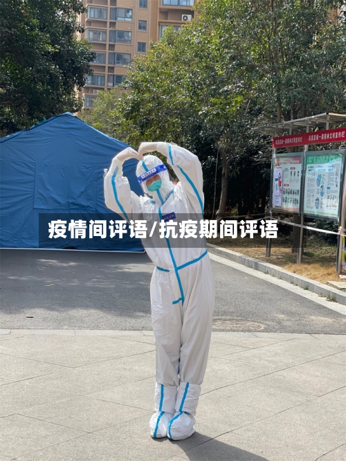 疫情间评语/抗疫期间评语