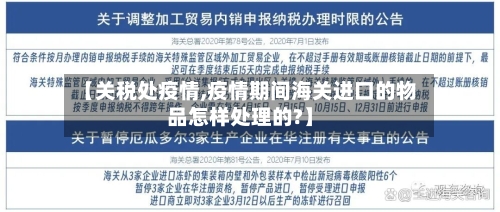 【关税处疫情,疫情期间海关进口的物品怎样处理的?】-第2张图片