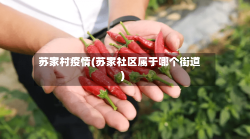 苏家村疫情(苏家社区属于哪个街道)-第3张图片