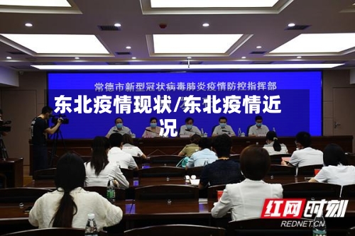 东北疫情现状/东北疫情近况