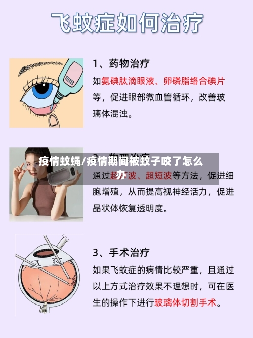 疫情蚊蝇/疫情期间被蚊子咬了怎么办